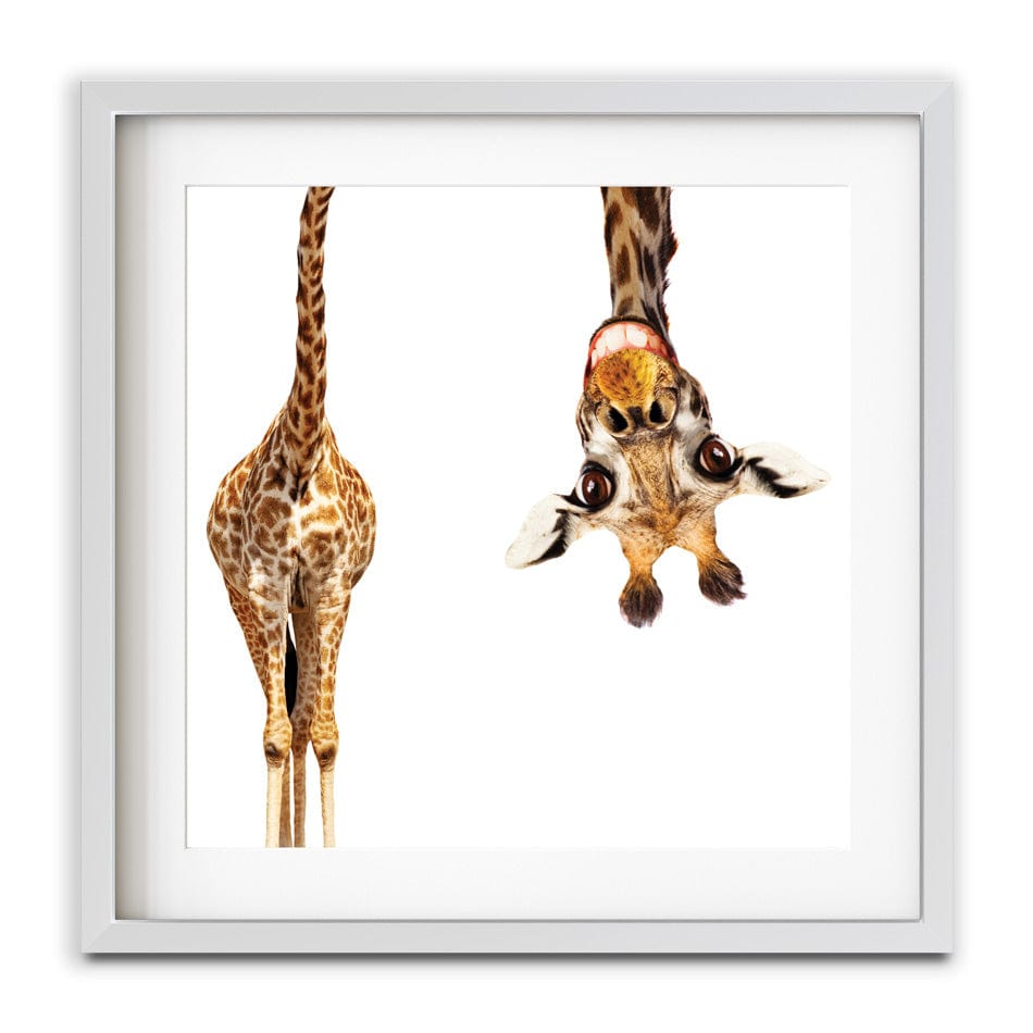 Happy Upside Down Giraffe Square Framed Art Print wall art product Sergey Novikov / Shutterstock