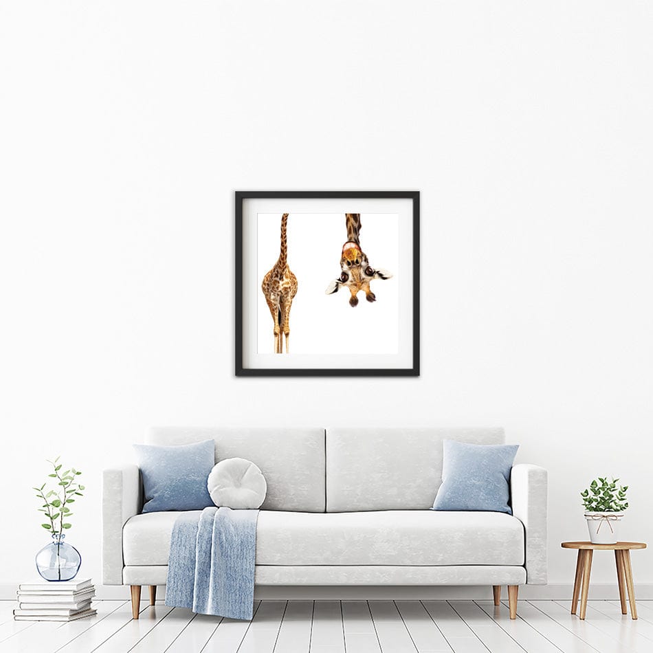 Happy Upside Down Giraffe Square Framed Art Print wall art product Sergey Novikov / Shutterstock