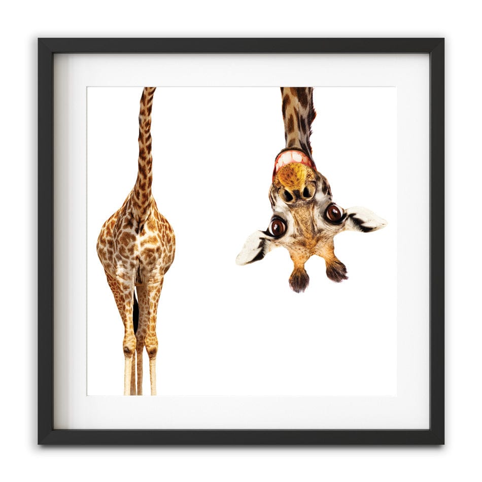 Happy Upside Down Giraffe Square Framed Art Print wall art product Sergey Novikov / Shutterstock