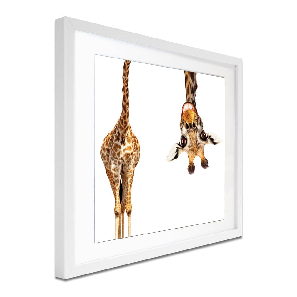 Happy Upside Down Giraffe Square Framed Art Print wall art product Sergey Novikov / Shutterstock
