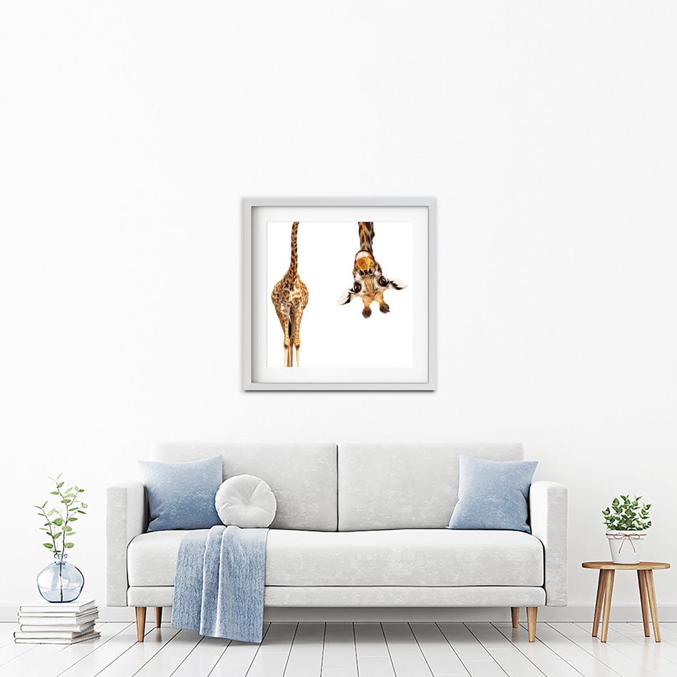 Happy Upside Down Giraffe Square Framed Art Print wall art product Sergey Novikov / Shutterstock