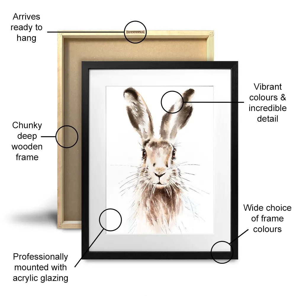 Harry The Hare Framed Art Print Harry The Hare Framed Art Print wall art product Bolotova Tatyana / Shutterstock