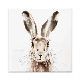 Harry The Hare Square Canvas Print Harry The Hare Square Canvas Print wall art product Art Print Shop