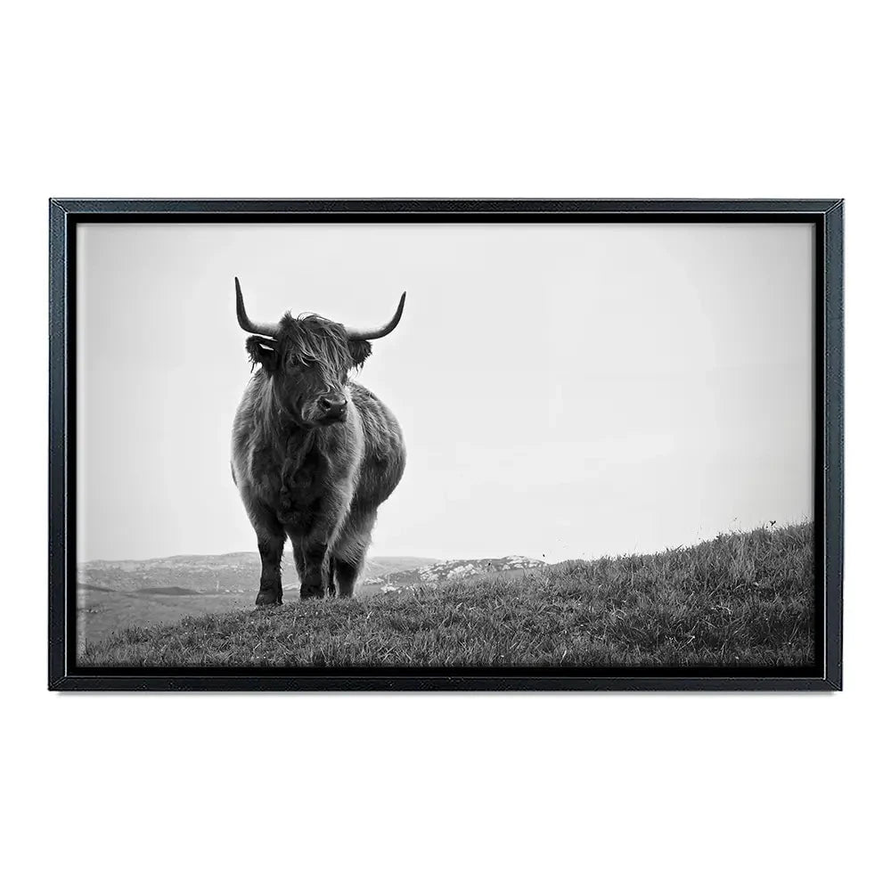 Highland Cow In The Distance Canvas Print Highland Cow In The Distance Canvas Print wall art product Eleanor Hamilton / Shutterstock