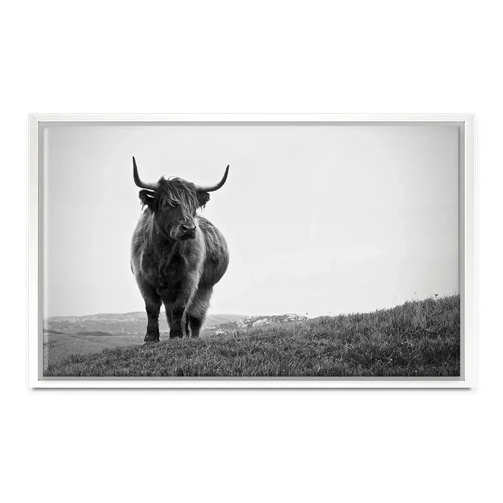 Highland Cow In The Distance Canvas Print Highland Cow In The Distance Canvas Print wall art product Eleanor Hamilton / Shutterstock