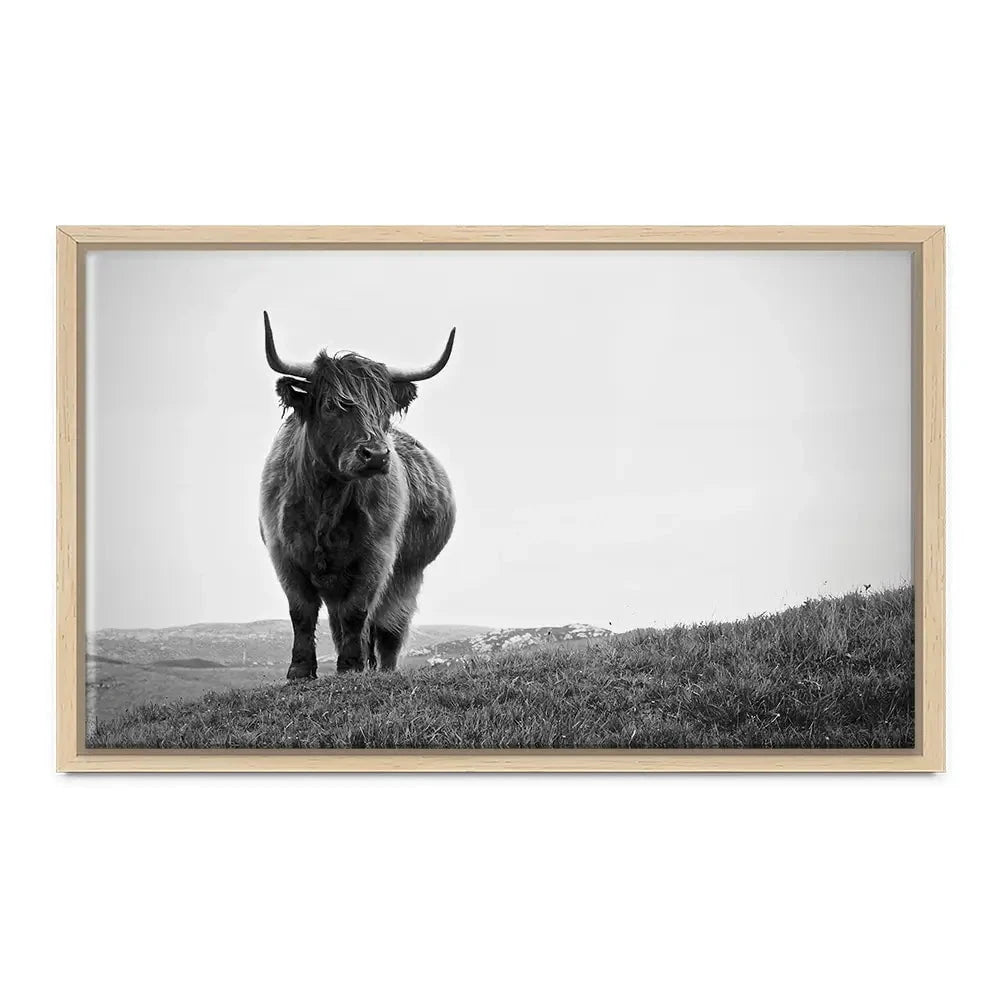 Highland Cow In The Distance Canvas Print Highland Cow In The Distance Canvas Print wall art product Eleanor Hamilton / Shutterstock