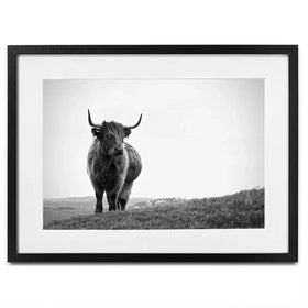 Highland Cow In The Distance Framed Art Print Highland Cow In The Distance Framed Art Print wall art product Eleanor Hamilton / Shutterstock