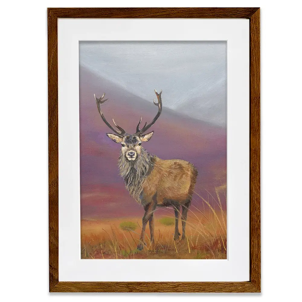Highland Stag Framed Art Print Highland Stag Framed Art Print wall art product Karen Sutton