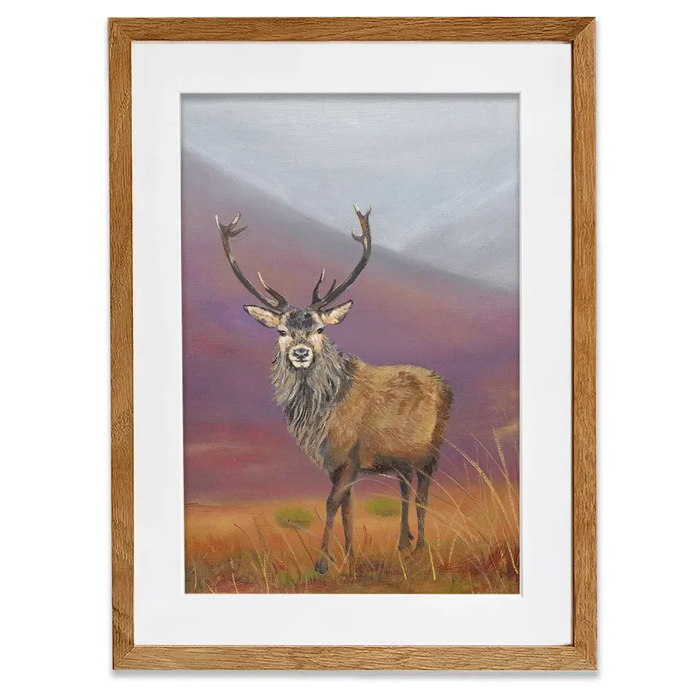 Highland Stag Framed Art Print Highland Stag Framed Art Print wall art product Karen Sutton