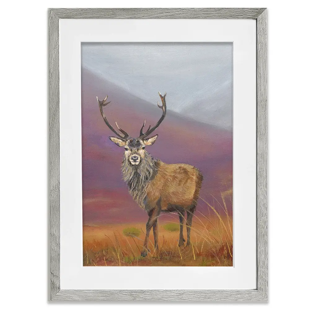 Highland Stag Framed Art Print Highland Stag Framed Art Print wall art product Karen Sutton