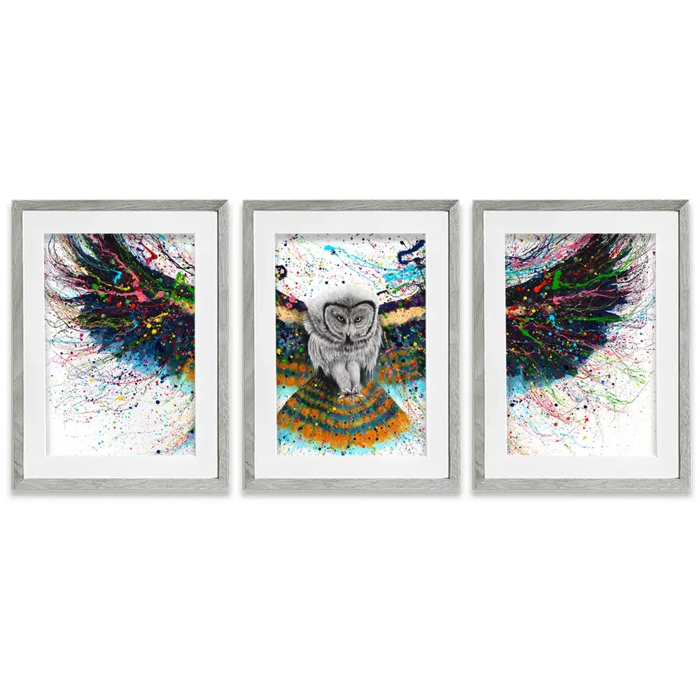 Hypnotic Twilight Owl Framed Art Print Trio Hypnotic Twilight Owl Framed Art Print Trio wall art product Ashvin Harrison