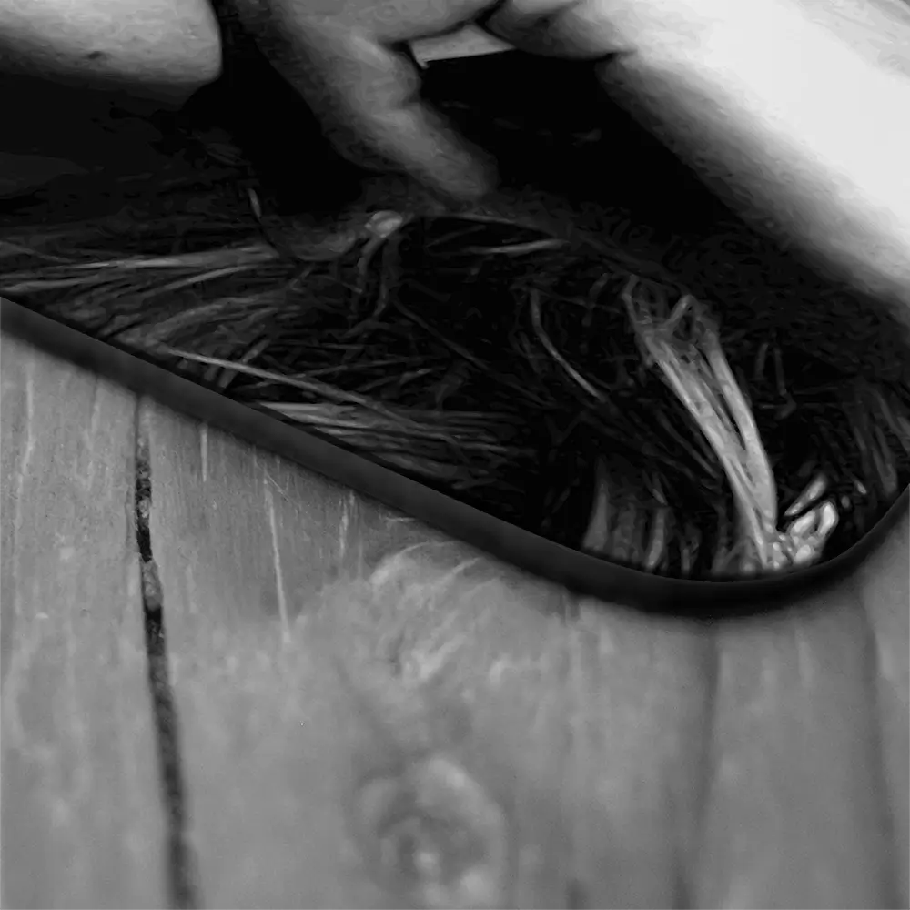 Kate Moss Moustache Coaster Set Rainbow Soul Tree Coaster Set | Rainbow Soul Tree Art Coasters wall art product Independent