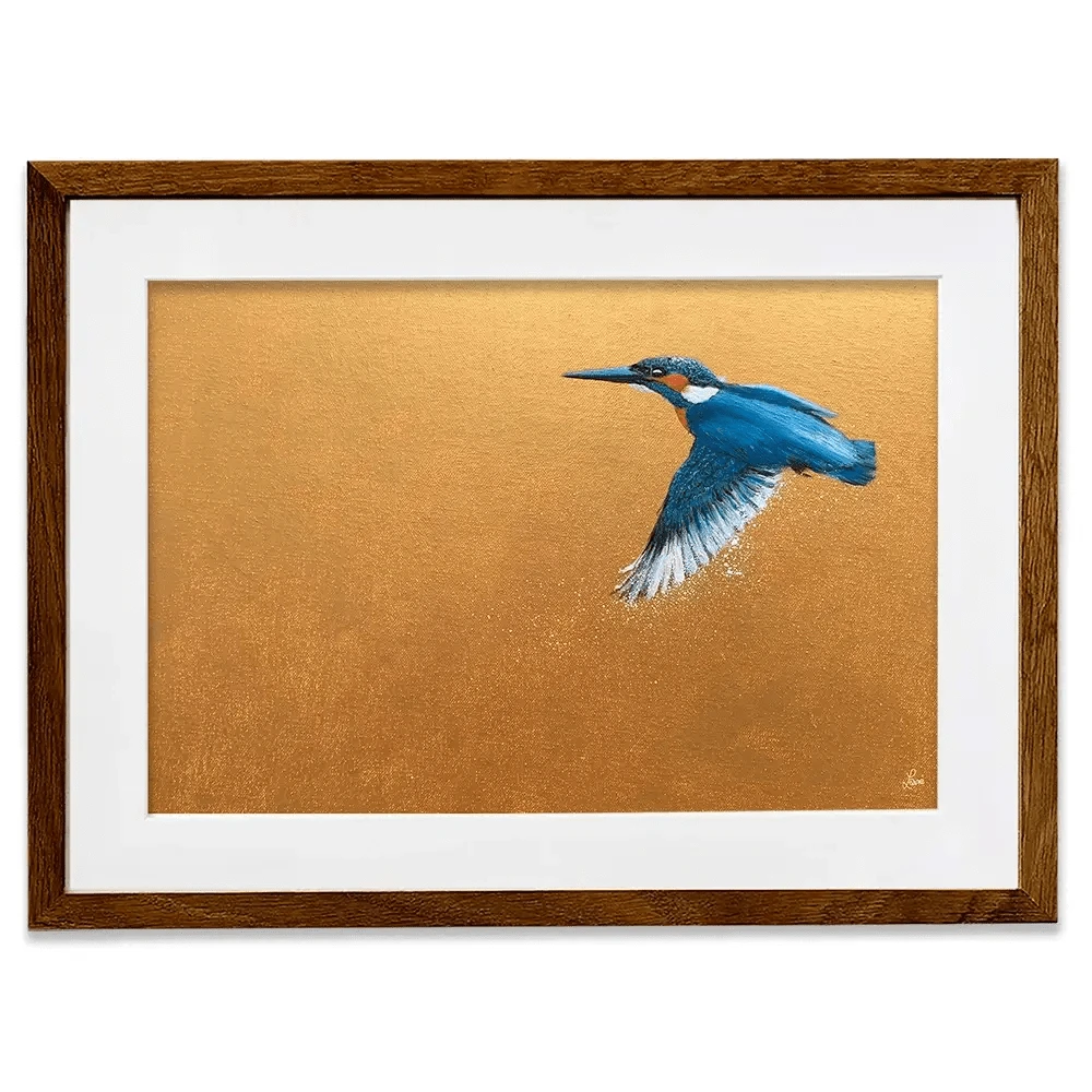 Kingfisher In Flight Framed Art Print Kingfisher In Flight Framed Art Print wall art product Laure Bury