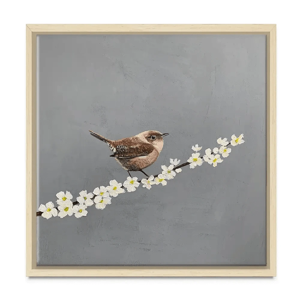 Little Wren On Cherry Blossom Canvas Print Little Wren On Cherry Blossom Canvas Print wall art product Laure Bury