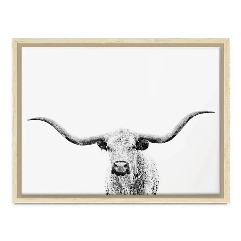 Longhorn Gaze Canvas Print Longhorn Gaze Canvas Print wall art product PH Burchett