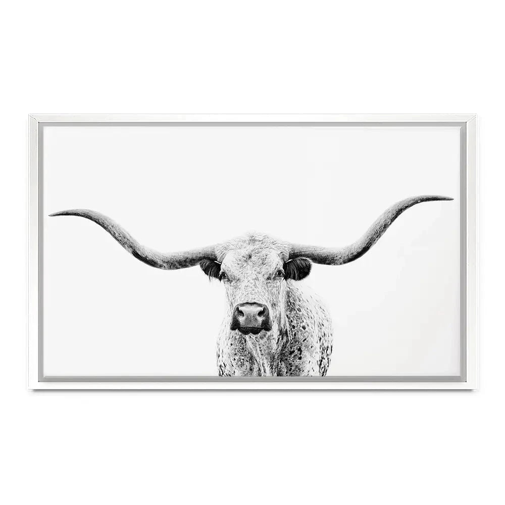 Longhorn Gaze Canvas Print Longhorn Gaze Canvas Print wall art product PH Burchett