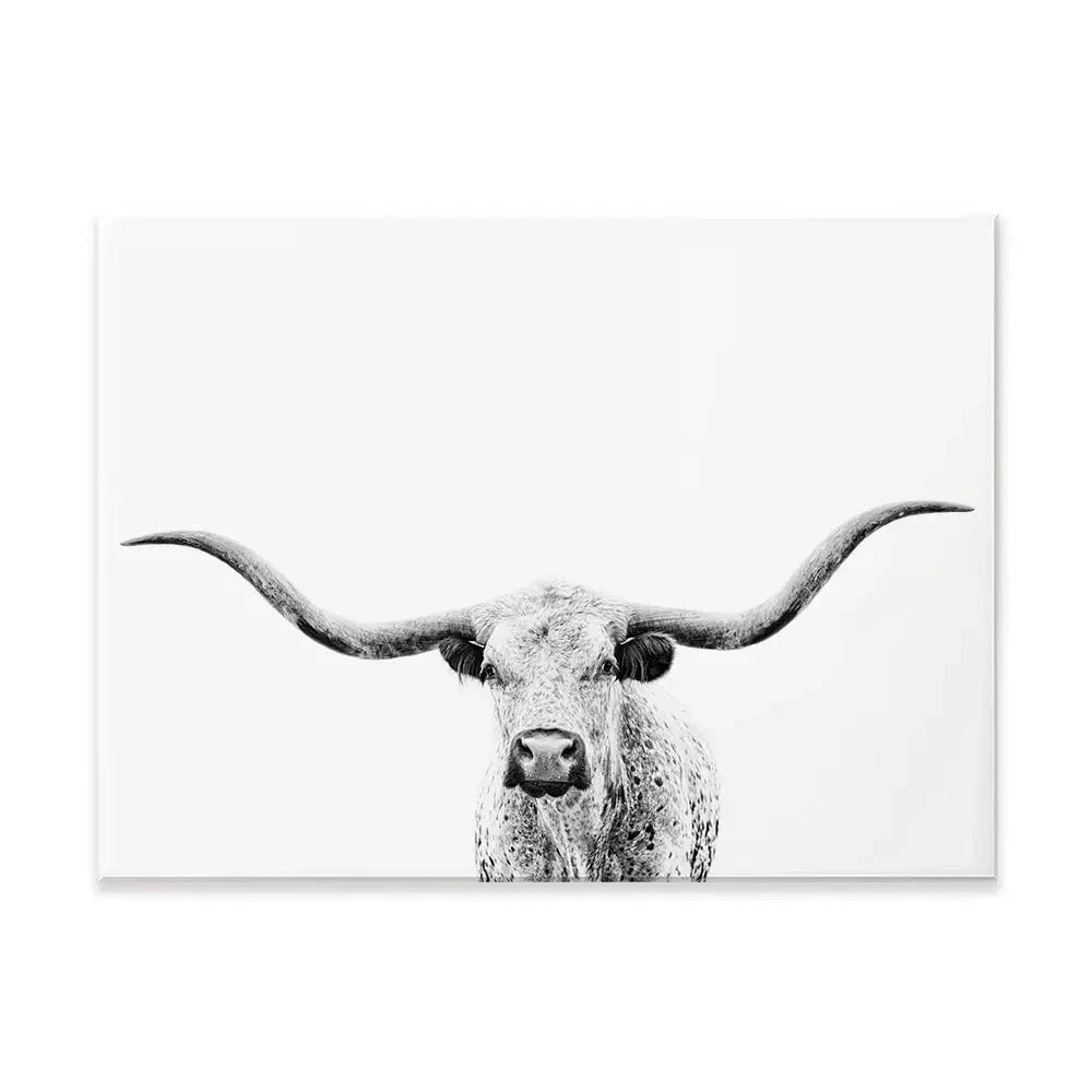 Longhorn Gaze Canvas Print Longhorn Gaze Canvas Print wall art product PH Burchett