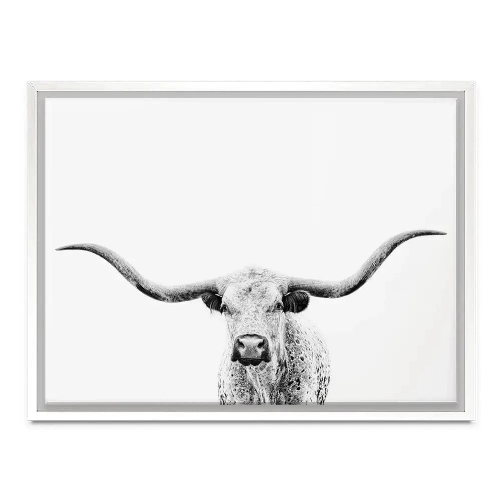 Longhorn Gaze Canvas Print Longhorn Gaze Canvas Print wall art product PH Burchett