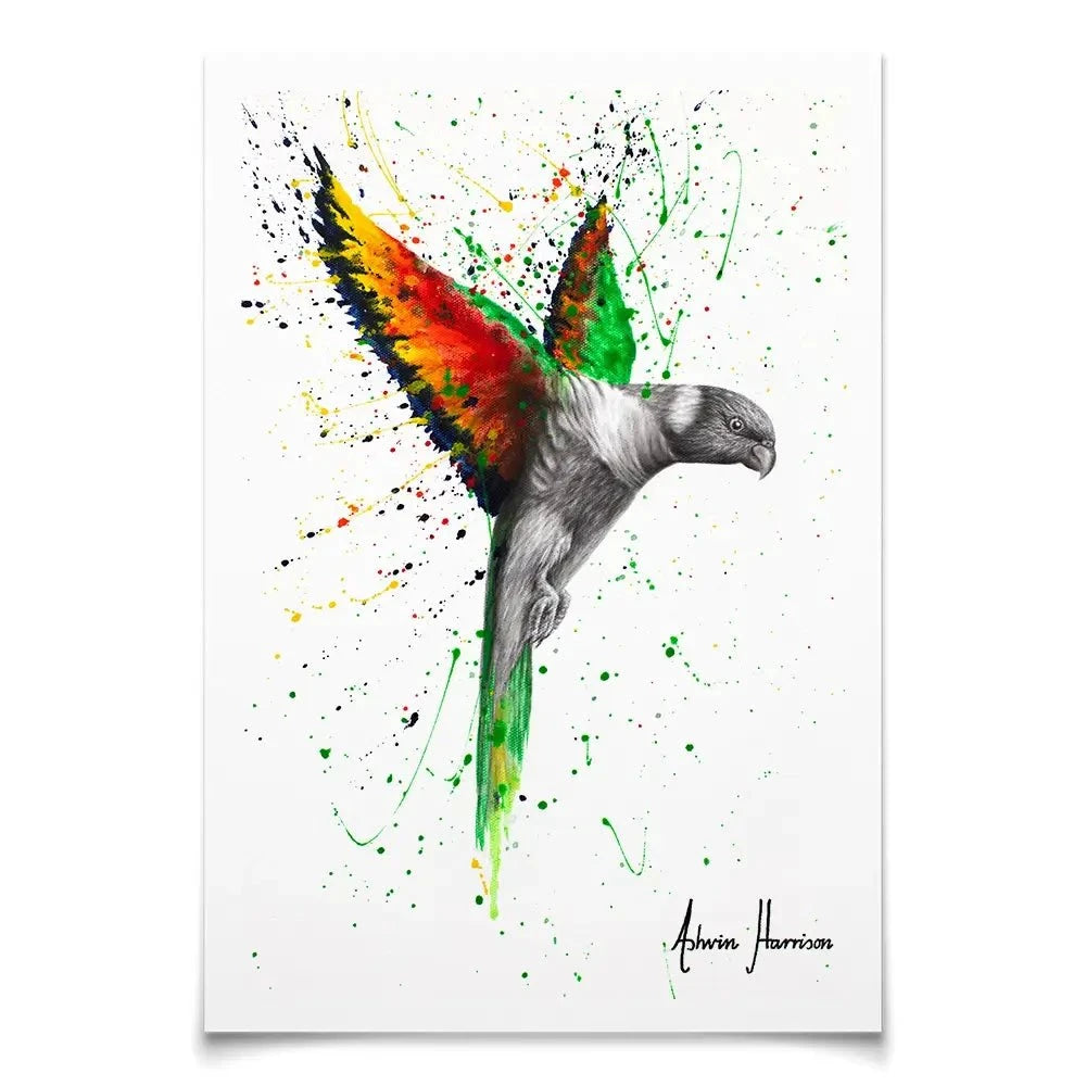 Lorikeet Larrikin Art Print Lorikeet Larrikin Art Print wall art product Ashvin Harrison