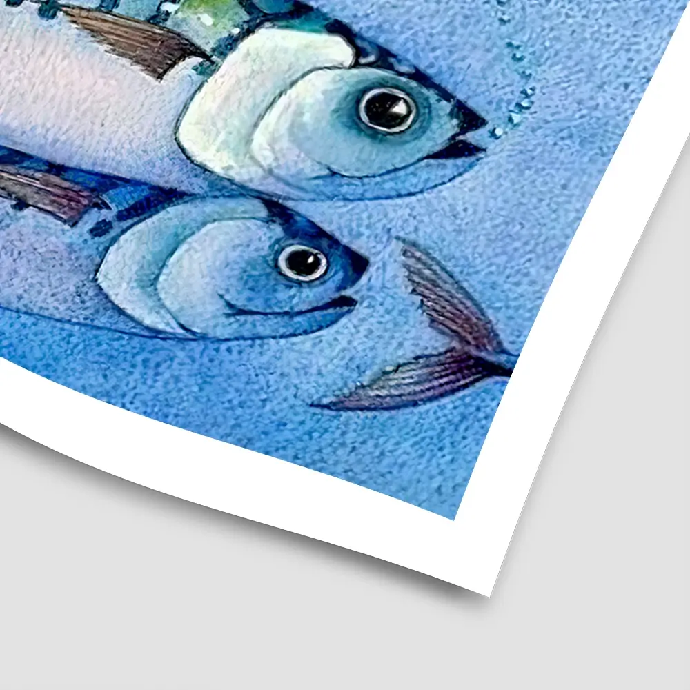 Mackerel Shoal Square Art Print Mackerel Shoal Square Art Print wall art product David Alexander Elder