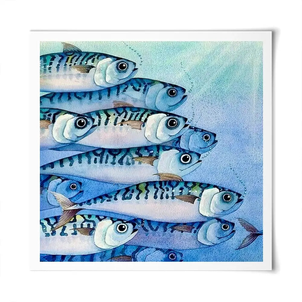 Mackerel Shoal Square Art Print Mackerel Shoal Square Art Print wall art product David Alexander Elder