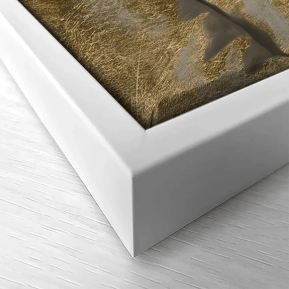 Masked Franklin Canvas Print Masked Franklin Canvas Print wall art product Jennifer Goldberger