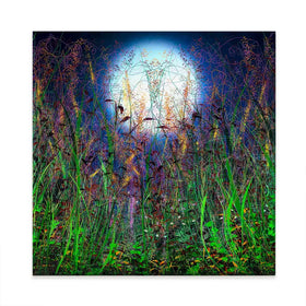Moonlight Shadows Square Canvas Print Moonlight Shadows Square Canvas Print wall art product Lena Owens - Independent