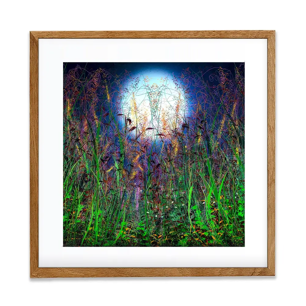 Moonlight Shadows Square Framed Art Print Moonlight Shadows Square Framed Art Print wall art product Lena Owens - Independent