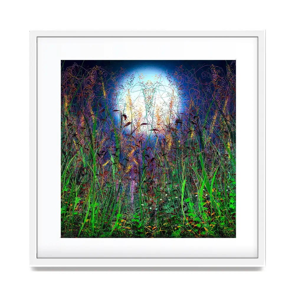 Moonlight Shadows Square Framed Art Print Moonlight Shadows Square Framed Art Print wall art product Lena Owens - Independent