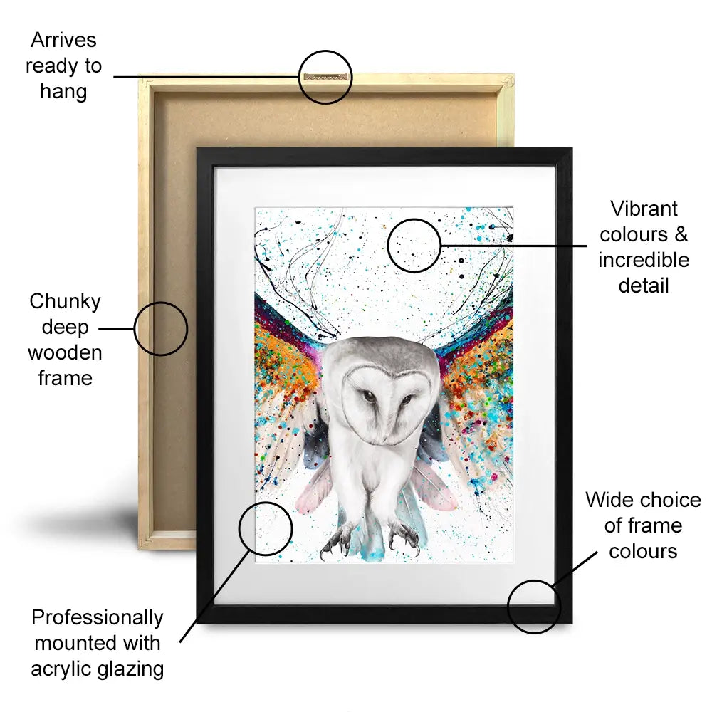 Opulent Night Owl Framed Art Print Trio Opulent Night Owl Framed Art Print Trio wall art product Ashvin Harrison