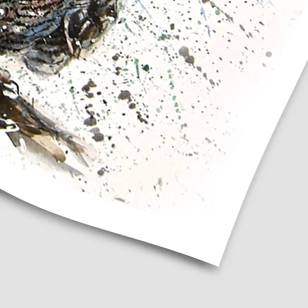 Paint Splash Owls Art Print Paint Splash Owls Art Print wall art product KOSTART / Shutterstock