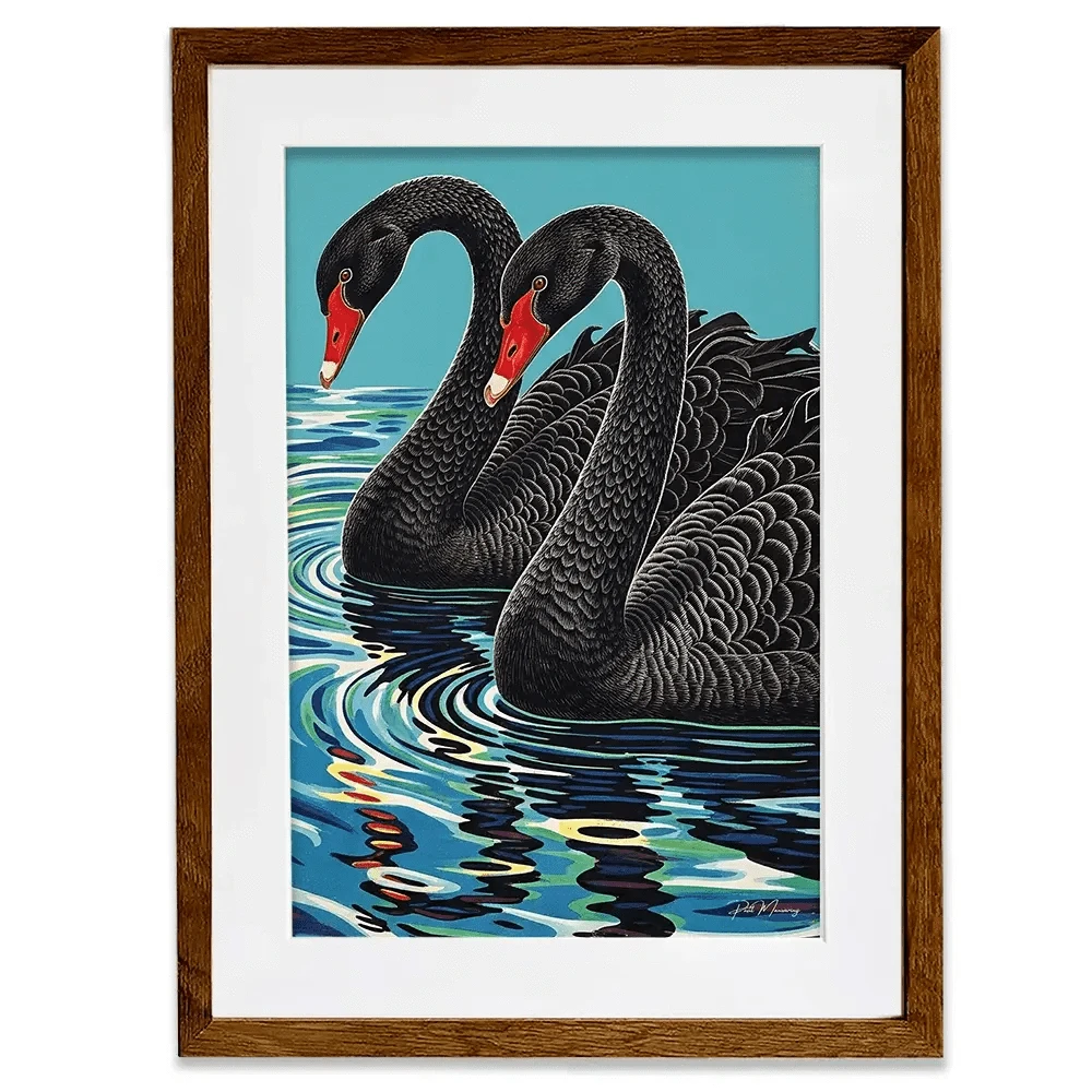 Pair Of Black Swans Framed Art Print Pair Of Black Swans Framed Art Print wall art product P & M Print Gallery