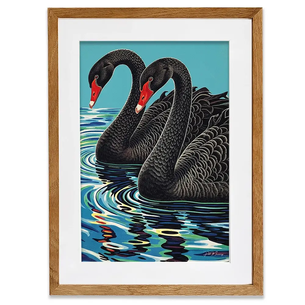 Pair Of Black Swans Framed Art Print Pair Of Black Swans Framed Art Print wall art product P & M Print Gallery