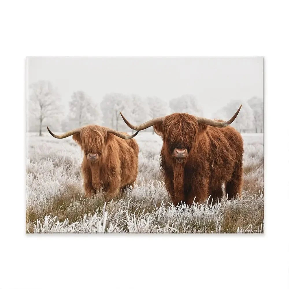Pair Of Winter Cows Canvas Print Pair Of Winter Cows Canvas Print wall art product defotoberg / Shutterstock