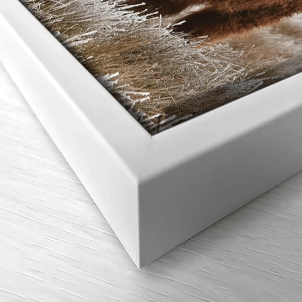 Pair Of Winter Cows Canvas Print Pair Of Winter Cows Canvas Print wall art product defotoberg / Shutterstock