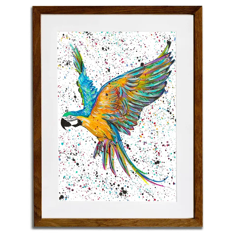 Parrot Macey Framed Art Print Parrot Macey Framed Art Print wall art product Emma LC Art