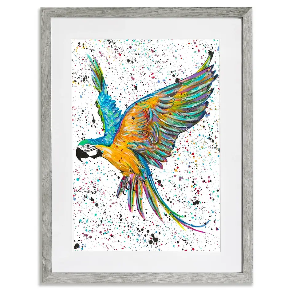 Parrot Macey Framed Art Print Parrot Macey Framed Art Print wall art product Emma LC Art