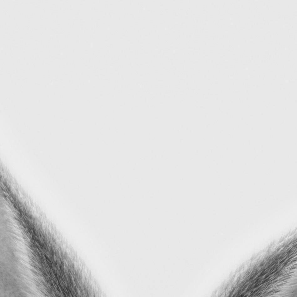 Peekaboo Bunny Portrait Art Print wall art product R Visser