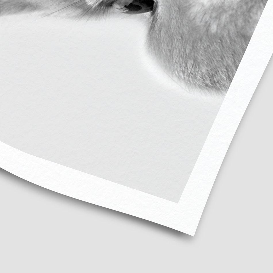 Peekaboo Bunny Portrait Art Print wall art product R Visser