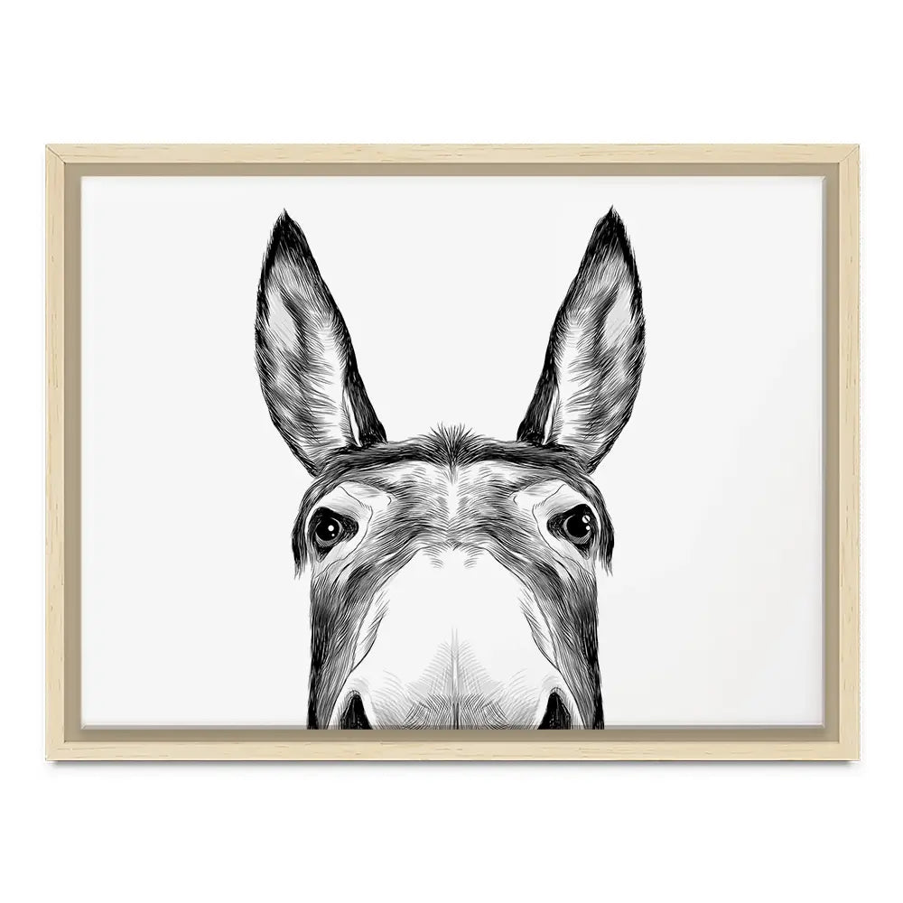 Peeking Donkey Canvas Print Peeking Donkey Canvas Print | Donkey Canvas wall art product Serafima Antipova / Shutterstock