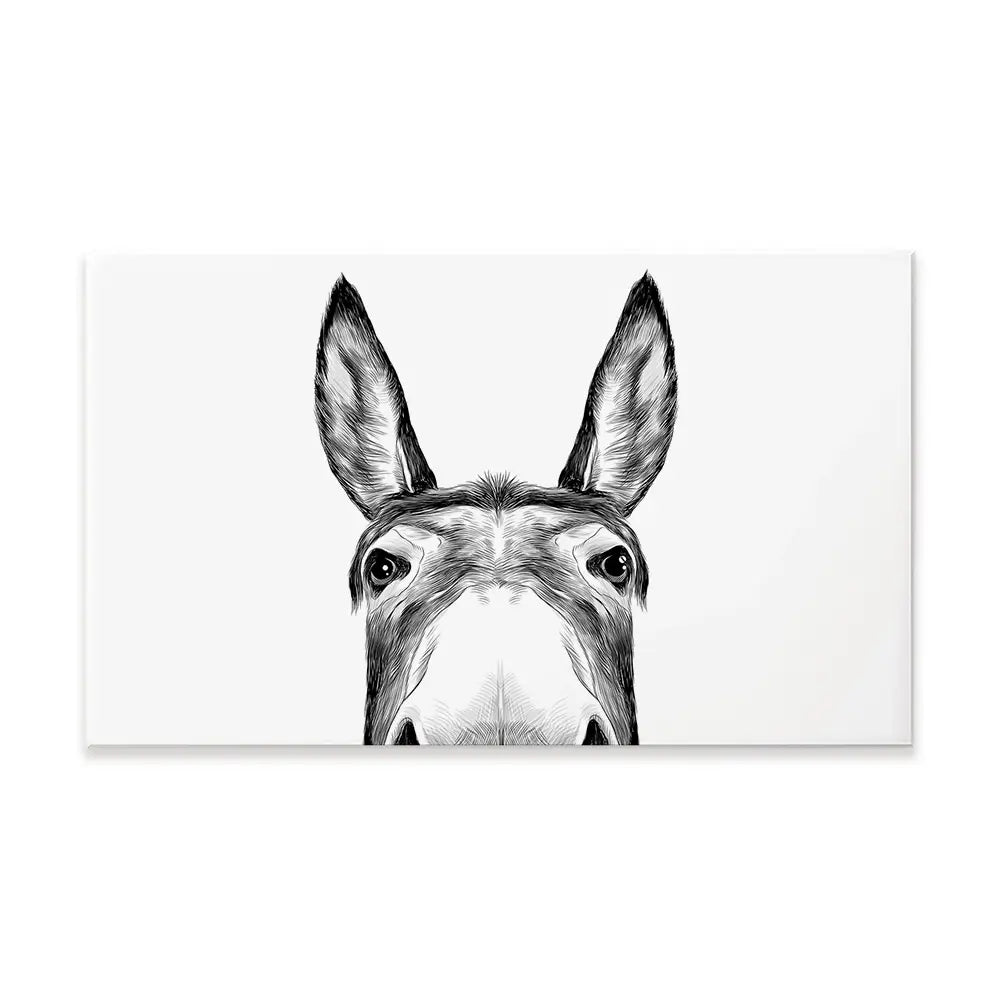 Peeking Donkey Canvas Print Peeking Donkey Canvas Print | Donkey Canvas wall art product Serafima Antipova / Shutterstock