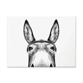 Peeking Donkey Canvas Print Peeking Donkey Canvas Print | Donkey Canvas wall art product Serafima Antipova / Shutterstock