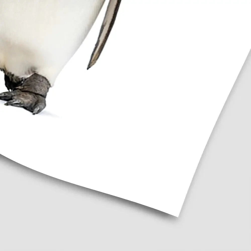 Penguin Gang Art Print Penguin Gang Art Print wall art product Eric Isselee / Shutterstock