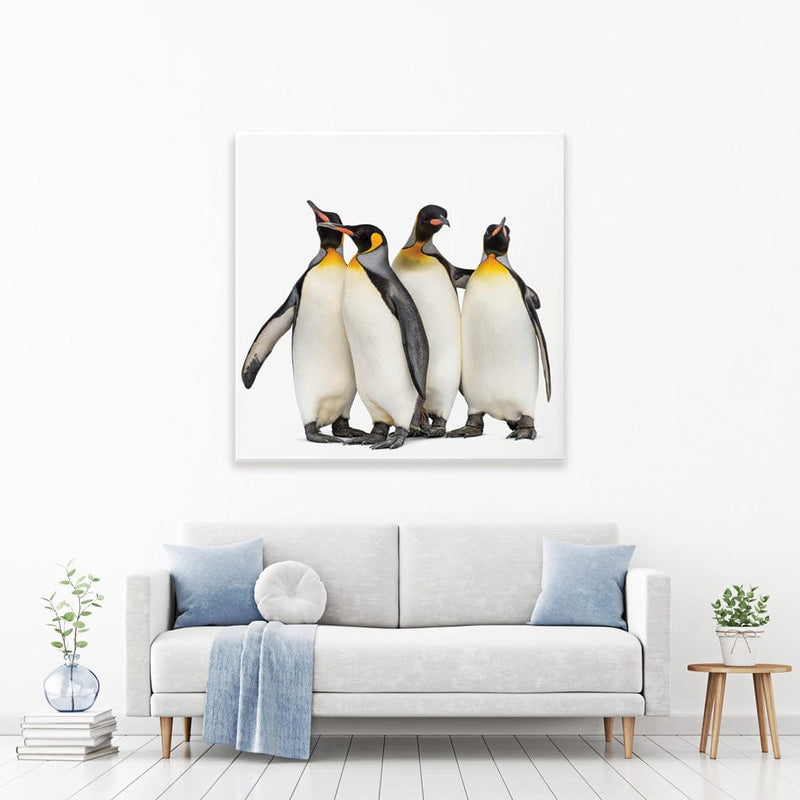 Penguin Gang Square Canvas Print wall art product Eric Isselee / Shutterstock