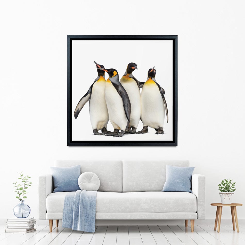Penguin Gang Square Canvas Print wall art product Eric Isselee / Shutterstock