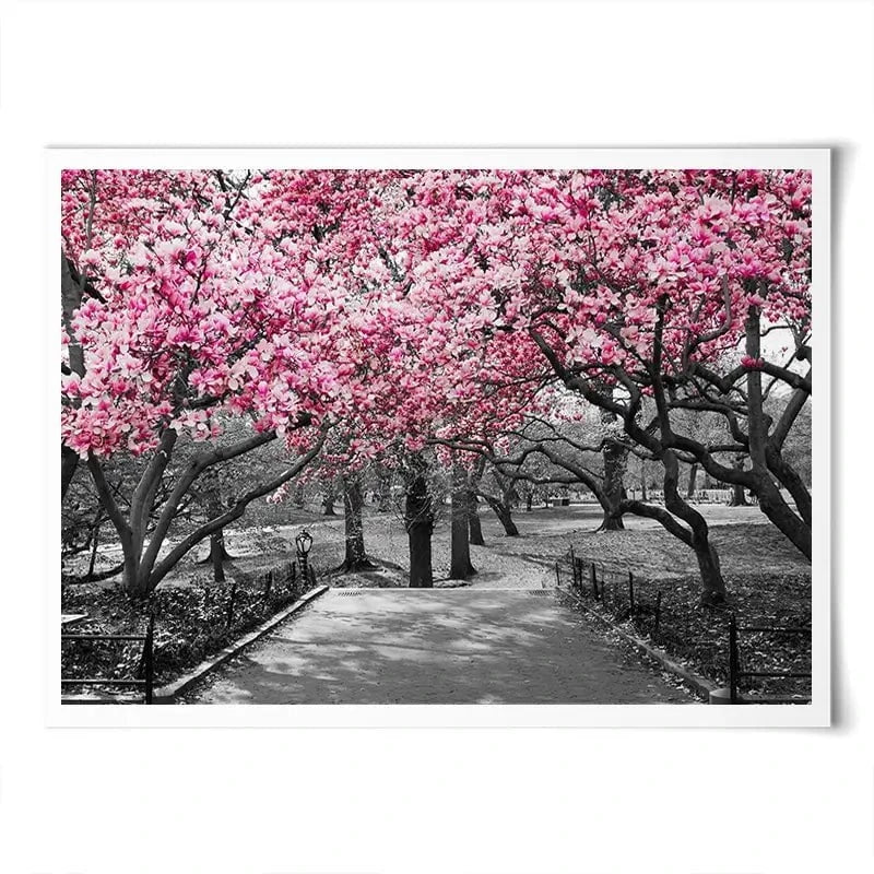 Pink Blossom Trees Art Print Pink Blossom Trees Art Print wall art product Ryan DeBerardinis / Shutterstock