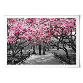 Pink Blossom Trees Art Print Pink Blossom Trees Art Print wall art product Ryan DeBerardinis / Shutterstock