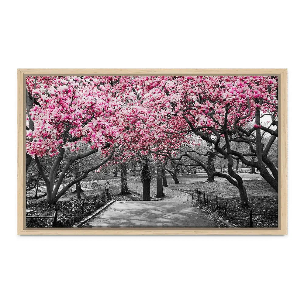 Pink Blossom Trees Canvas Print Pink Blossom Trees Canvas Print wall art product Ryan DeBerardinis / Shutterstock