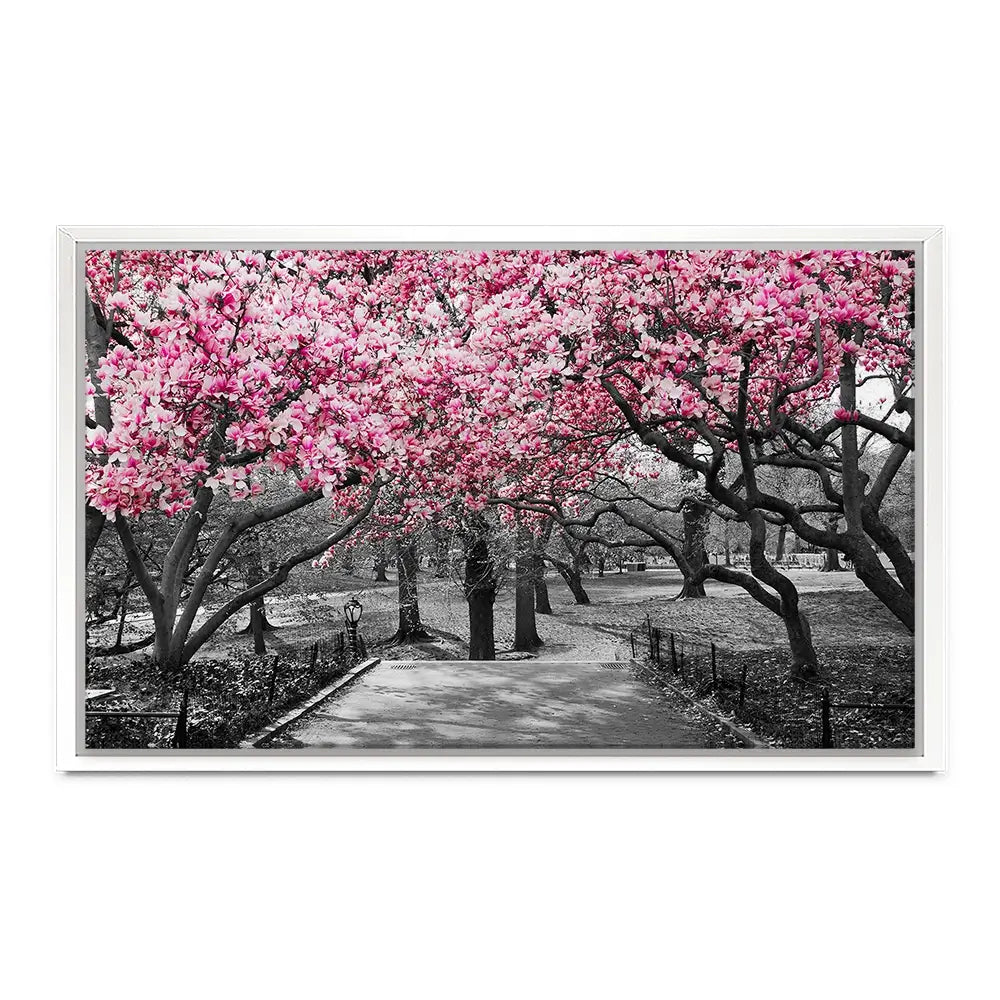 Pink Blossom Trees Canvas Print Pink Blossom Trees Canvas Print wall art product Ryan DeBerardinis / Shutterstock