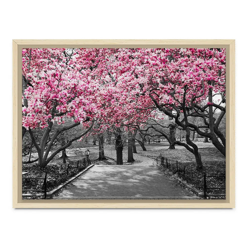 Pink Blossom Trees Canvas Print Pink Blossom Trees Canvas Print wall art product Ryan DeBerardinis / Shutterstock